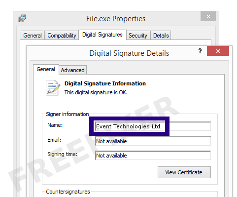 Screenshot of the Exent Technologies Ltd. certificate